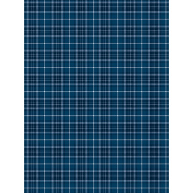 TARTAN BLU