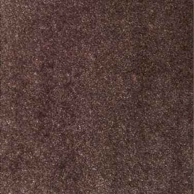 SOFT FEELINGS-8608