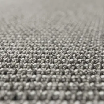 IMG NATURE 4507